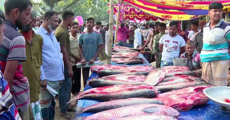 মাছের মেলা